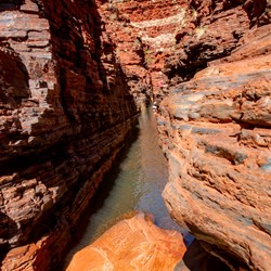 The 2nd cold water channel to swim through to reach Kermits Pool