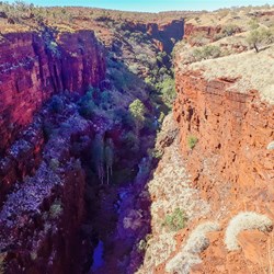 Knox Gorge Lookout