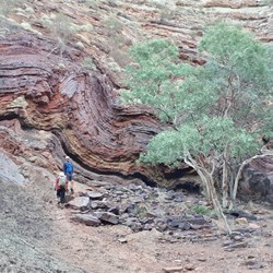 Hiking back up out of Hammersley Gorge