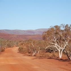 Driving to Hammerlsey Gorge
