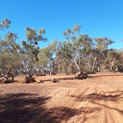 Fortesque River - dry and massive
