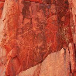 Rock carvings