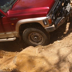 Willem as cool as can be