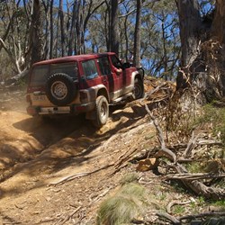 Willem still going strong