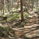 North Glenpatrick Track