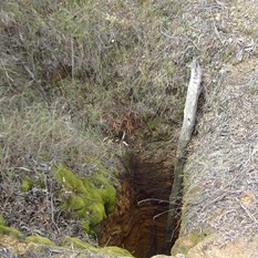 Gold Mine Shaft