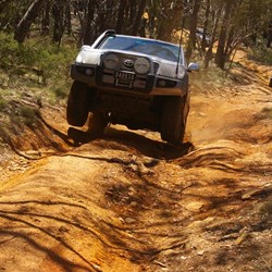 Al and Lyn lifting wheels