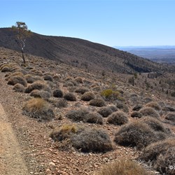 Driving along one of the Ridges before Mount Caernarvon 