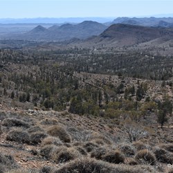 You never get tired of views like this on the Caernarvon Track