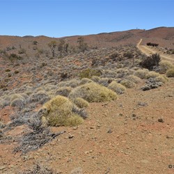 Another section of Ridge Top driving