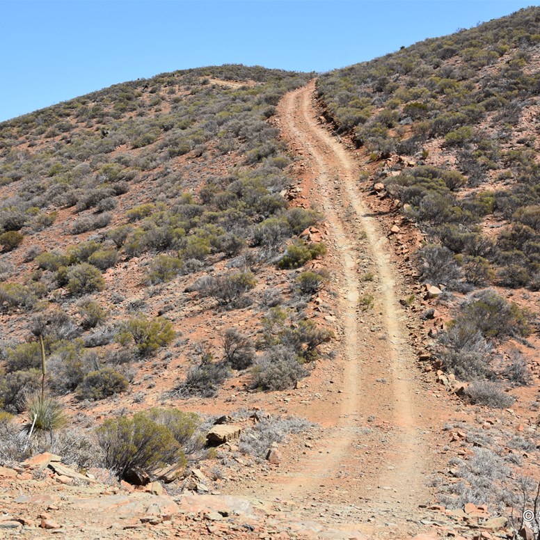 One of the last uphill sections before the summit of Mount Caernarvon 