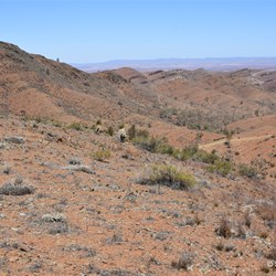 More great views on the Caernarvon Track