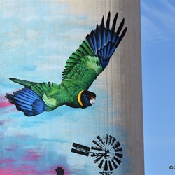 The new Cowell Silo Art