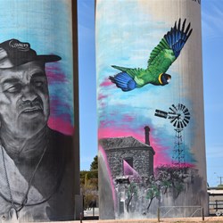 The new Cowell Silo Art