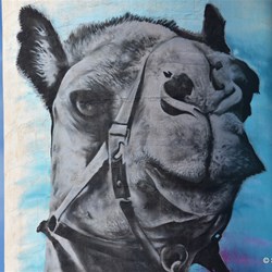 The new Cowell Silo Art