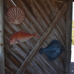 Cowell Mangrove Boardwalk