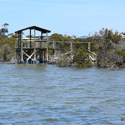 Cowell Mangrove Boardwalk