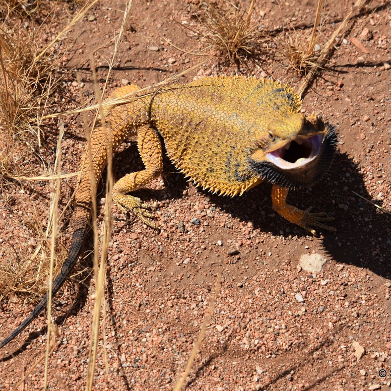 A local at the school site