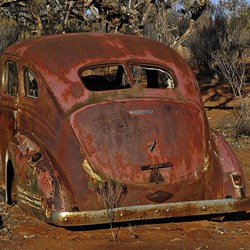 Kilcowera Station 2019