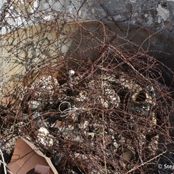 Loveday Internment Camp ruins