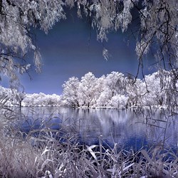 Murray River Anabranch Infra-red