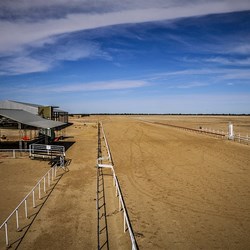 Birdsville Race Track 2013