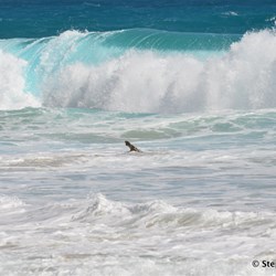 Heavy surf crashes over part of the rusting structure of the Ethel.