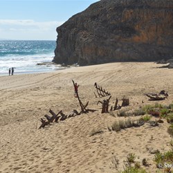 Today's remain of the Ethel Wreck