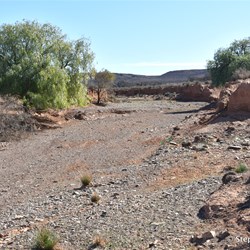You will never know what is out there, if you do not visit the Station Country east of Burra