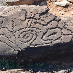 You will never know what is out there, if you do not visit the Station Country east of Burra