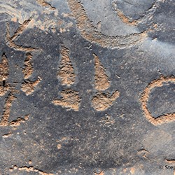 You will never know what is out there, if you do not visit the Station Country east of Burra