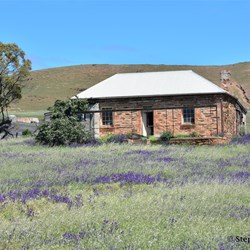 You will never know what is out there, if you do not visit the Station Country east of Burra