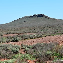 You will never know what is out there, if you do not visit the Station Country east of Burra