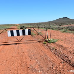 You will never know what is out there, if you do not visit the Station Country east of Burra