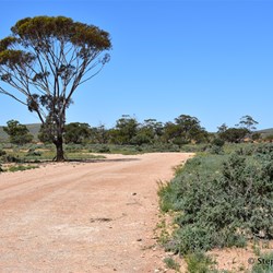 You will never know what is out there, if you do not visit the Station Country east of Burra