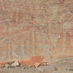 You will never know what is out there, if you do not visit the Station Country east of Burra