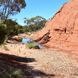 You will never know what is out there, if you do not visit the Station Country east of Burra