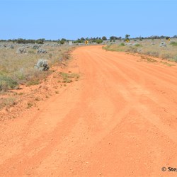 You will never know what is out there, if you do not visit the Station Country east of Burra