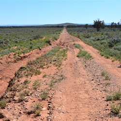You will never know what is out there, if you do not visit the Station Country east of Burra