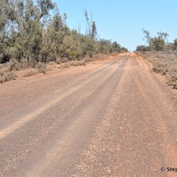 You will never know what is out there, if you do not visit the Station Country east of Burra