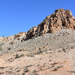 You will never know what is out there, if you do not visit the Station Country east of Burra