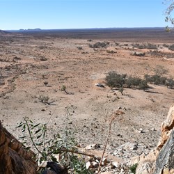 You will never know what is out there, if you do not visit the Station Country east of Burra