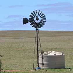 You will never know what is out there, if you do not visit the Station Country east of Burra