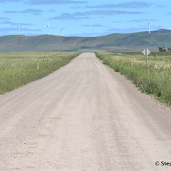 You will never know what is out there, if you do not visit the Station Country east of Burra