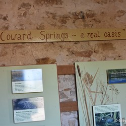 Coward Springs