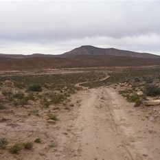 Cat tracks adding to the discomfort.