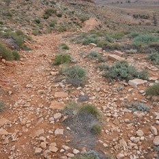The ride and track got rockier from her on and put some pressure on me.