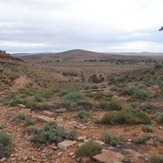 The start of a very steep rock and slippery descent.