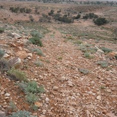 Look!! Almost off the stones.