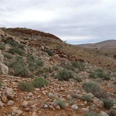 Pretty rough and unforgiving country.